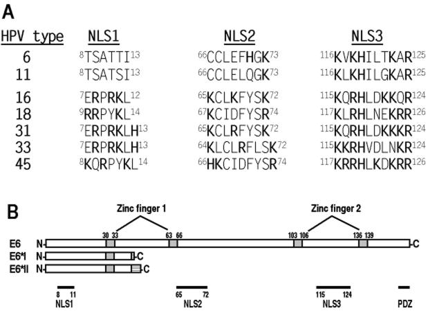 FIG. 10.