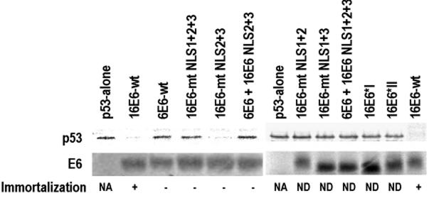 FIG. 9.