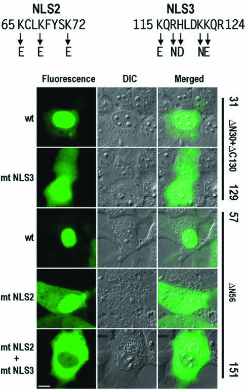 FIG. 6.