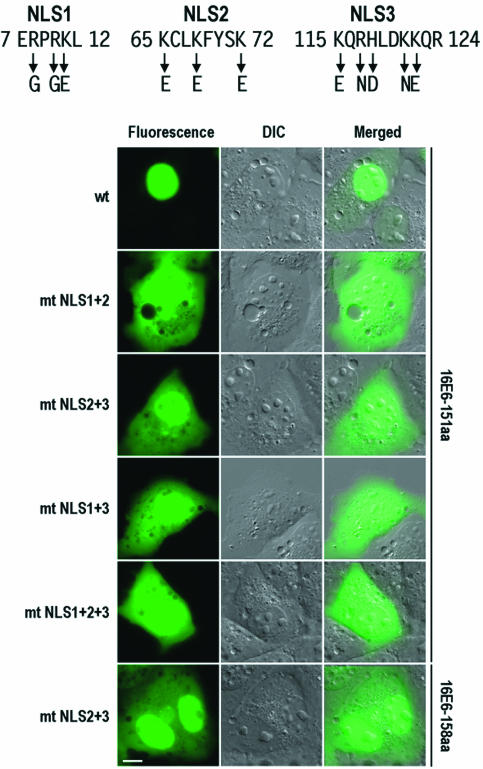 FIG. 7.