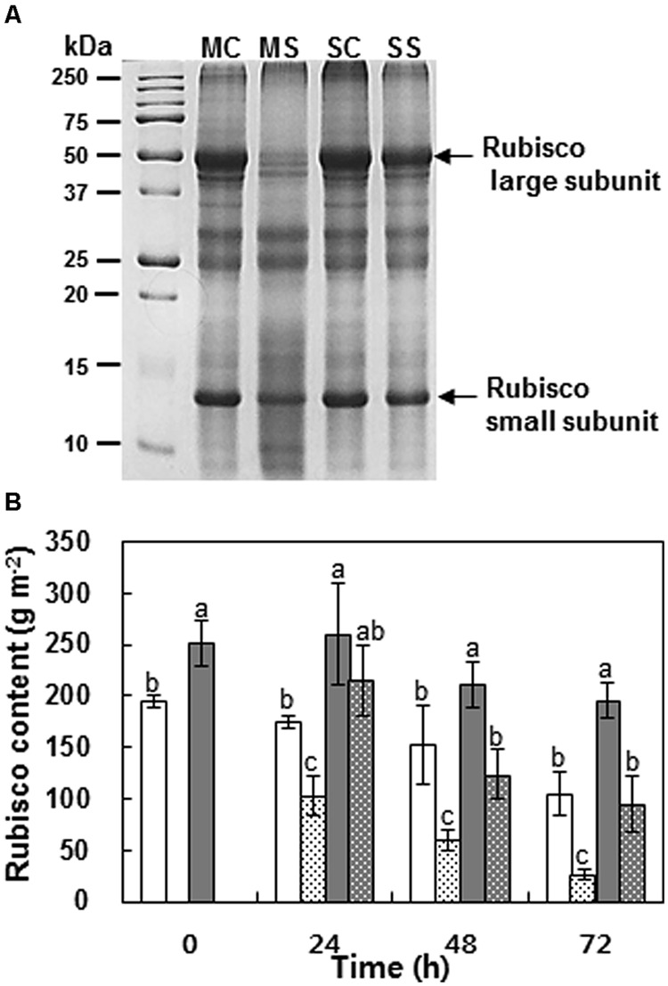 FIGURE 3