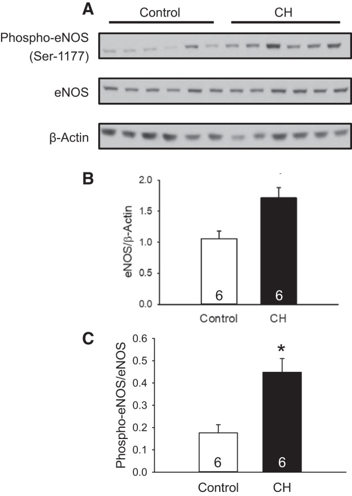 Fig. 6.