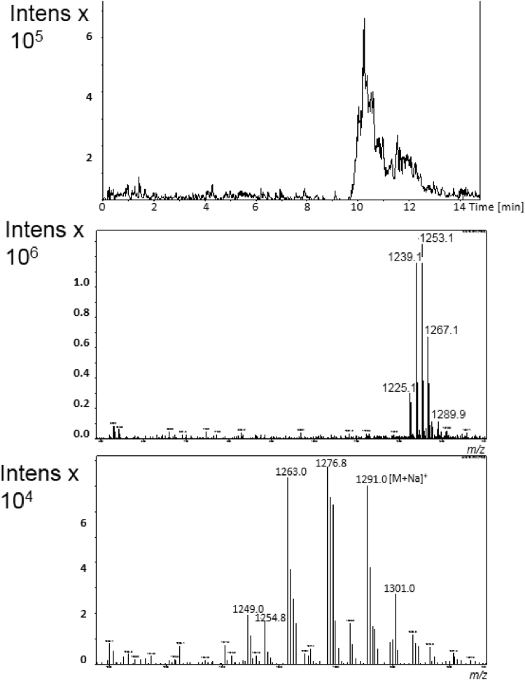 Fig. 6