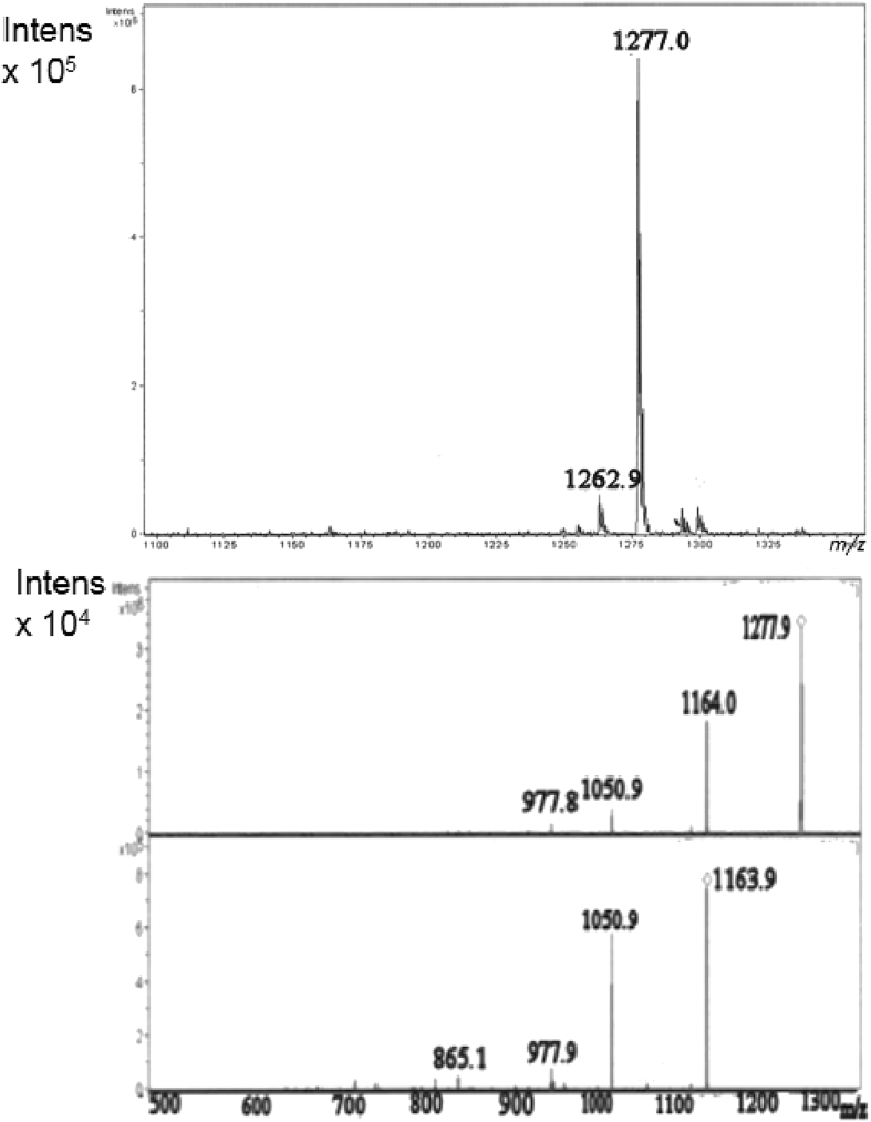 Fig. 8