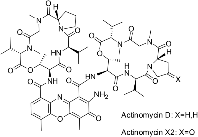 Fig. 7