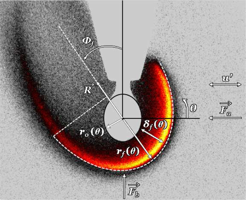 Figure 3: