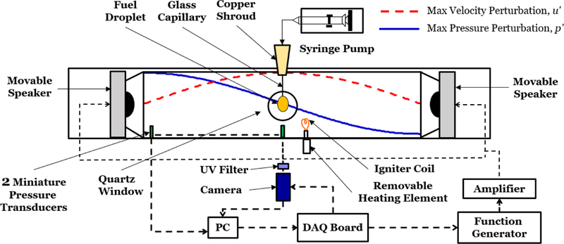 Figure 1: