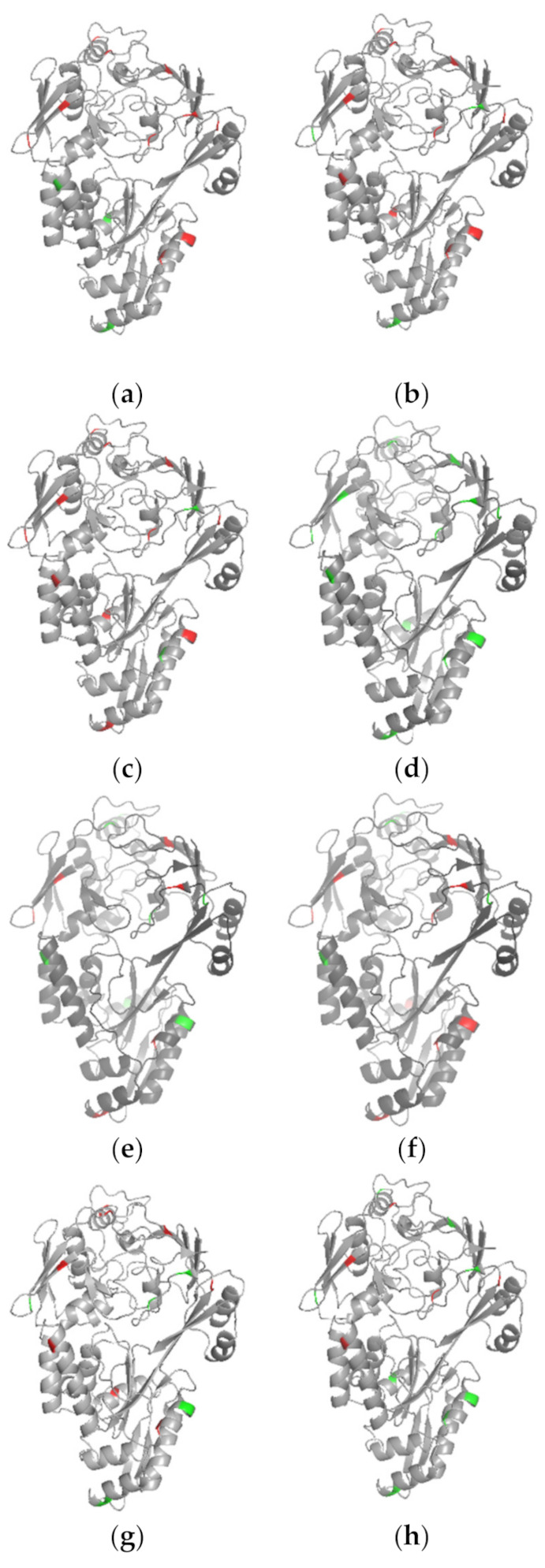 Figure 7