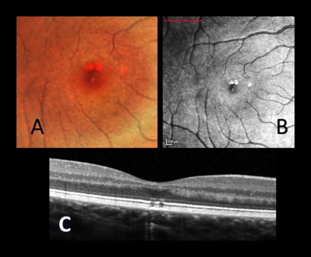 Fig. 3