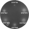 FIG. 8.