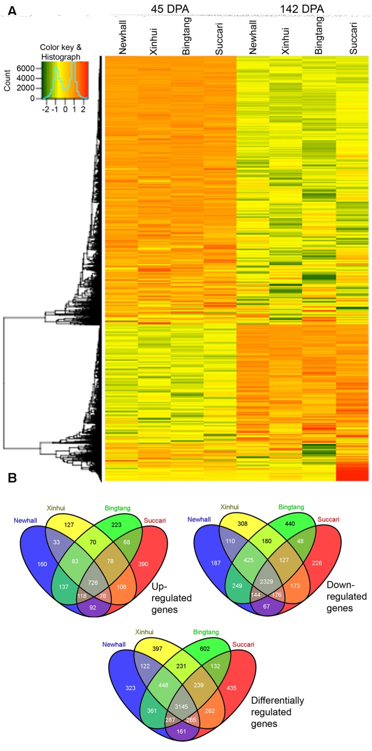 FIGURE 3