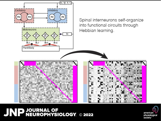 graphic file with name jn-00054-2022r01.jpg