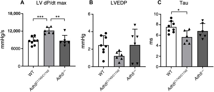 Fig. 8.