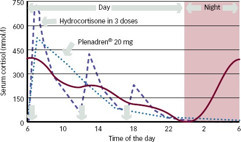 Figure 1: