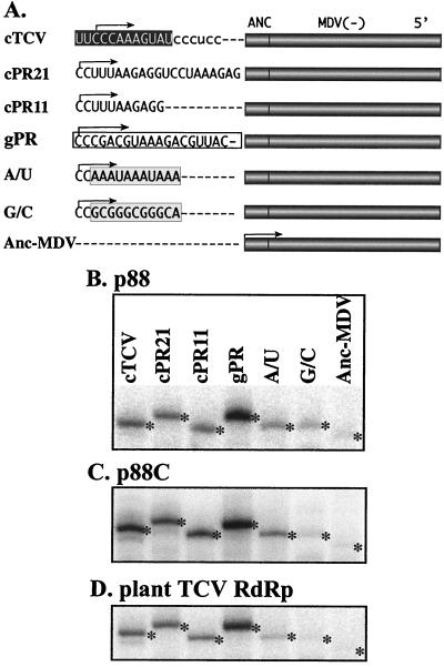 FIG. 7.