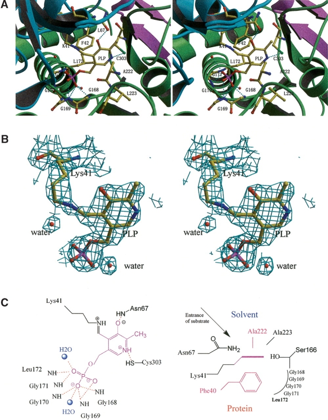 Figure 3.