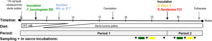 FIG 1