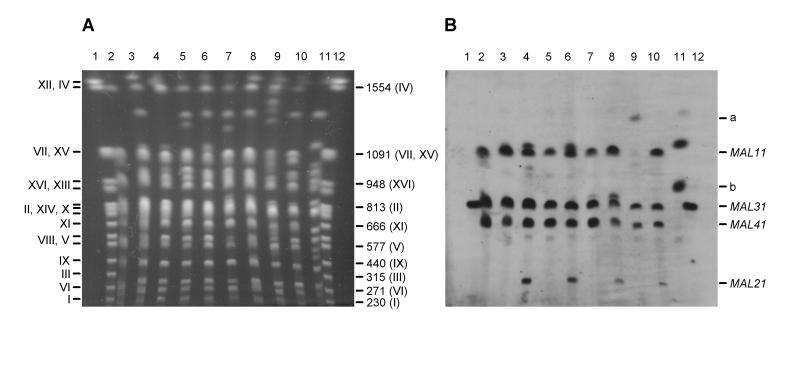 FIG. 1