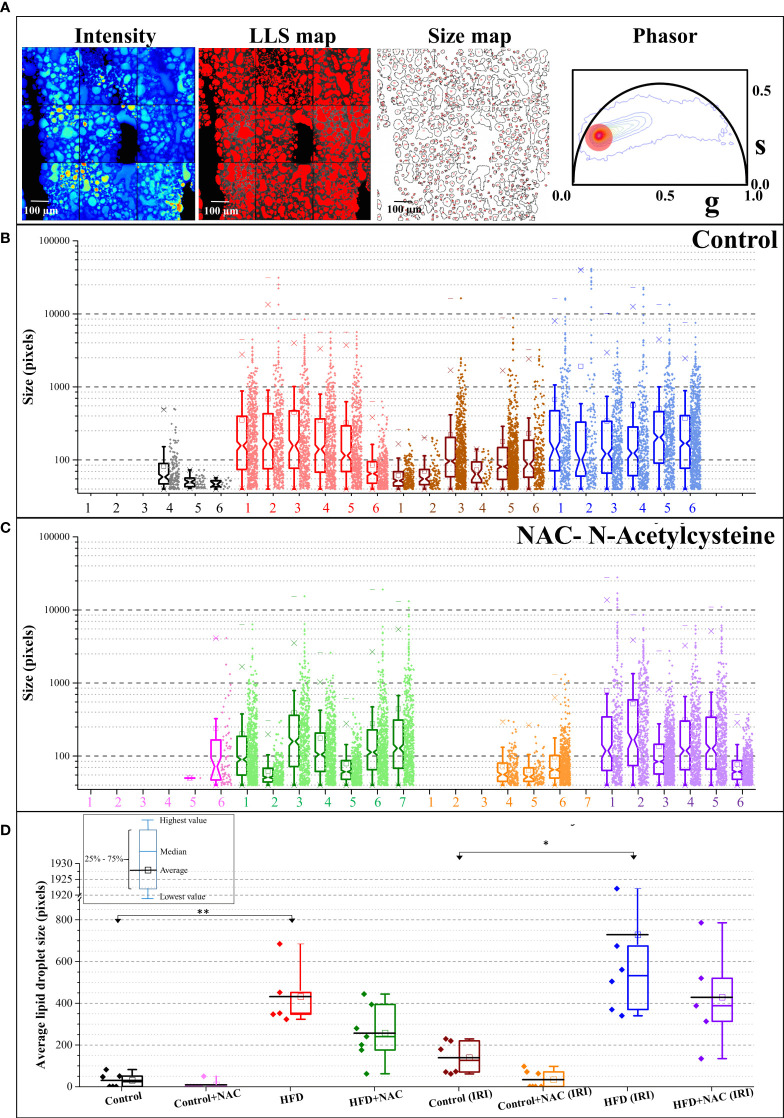 Figure 4