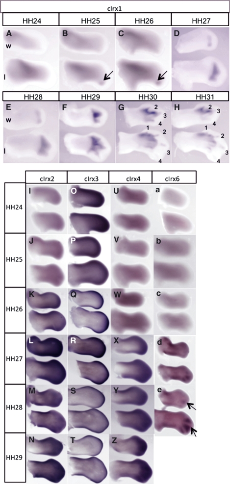 Fig. 3