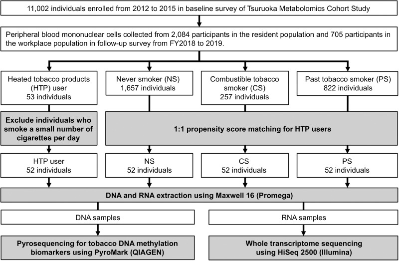 Figure 1. Study workflow. Of the participants in the TMCS, only 53 switched from tobacco smoking (baseline survey) to the use of only HTPs (secondary survey). A total of 52 HTP users, excluding one who had a very low number of cigarettes per day, were matched 1:1 by propensity score to three smoking status groups. Blood samples were collected from participants in each smoking status group; PBMCs were isolated, and DNA and RNA were extracted. DNA was used for DNAm analysis, and RNA was used for transcriptome analysis. FY, fiscal years (April–March).