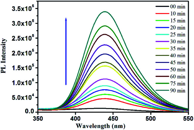 Fig. 10