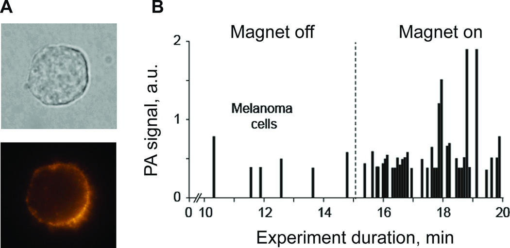 Fig. 8