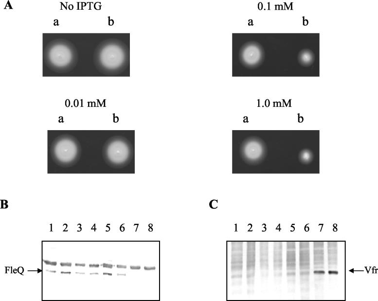 FIG. 4.