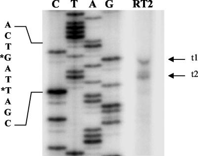 FIG. 5.