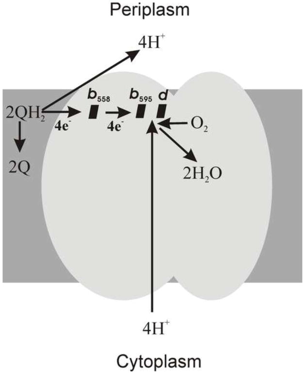 Fig. 2