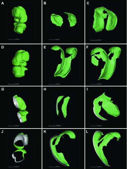 Figure 7.