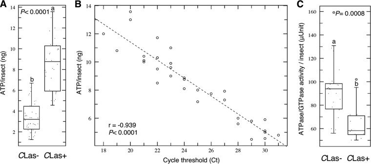 FIG 1