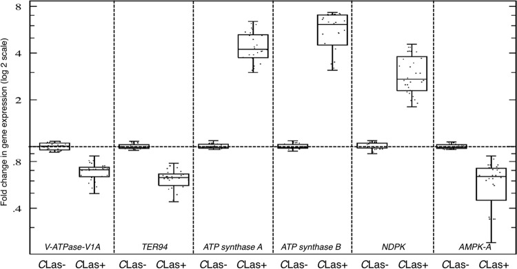 FIG 3