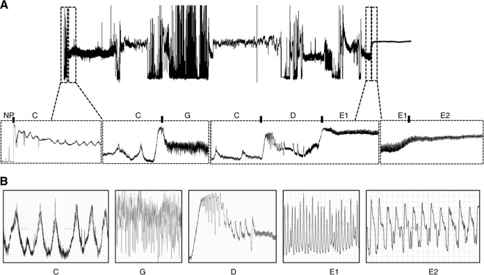 FIG 5