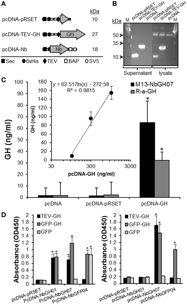 Figure 7