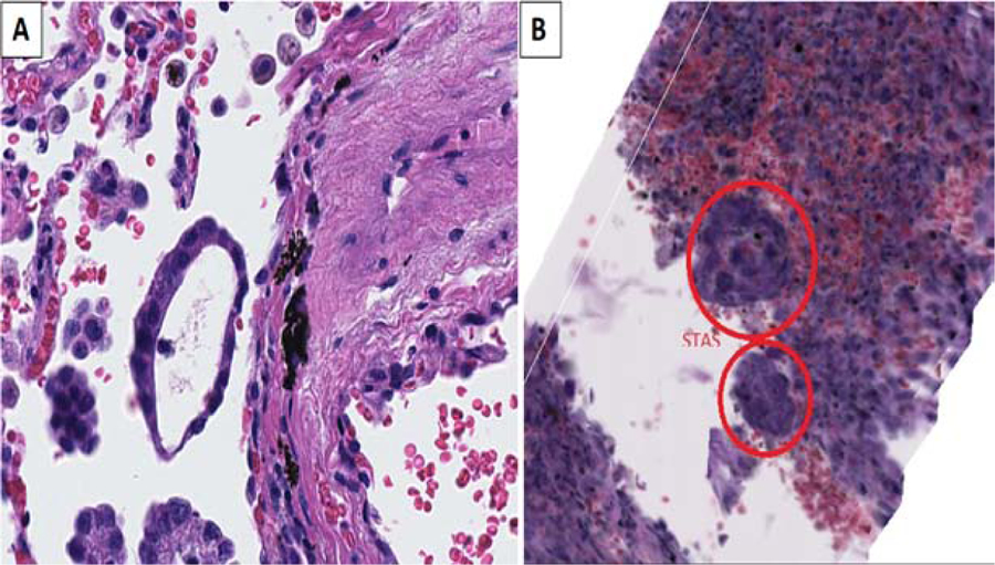 Figure 6: