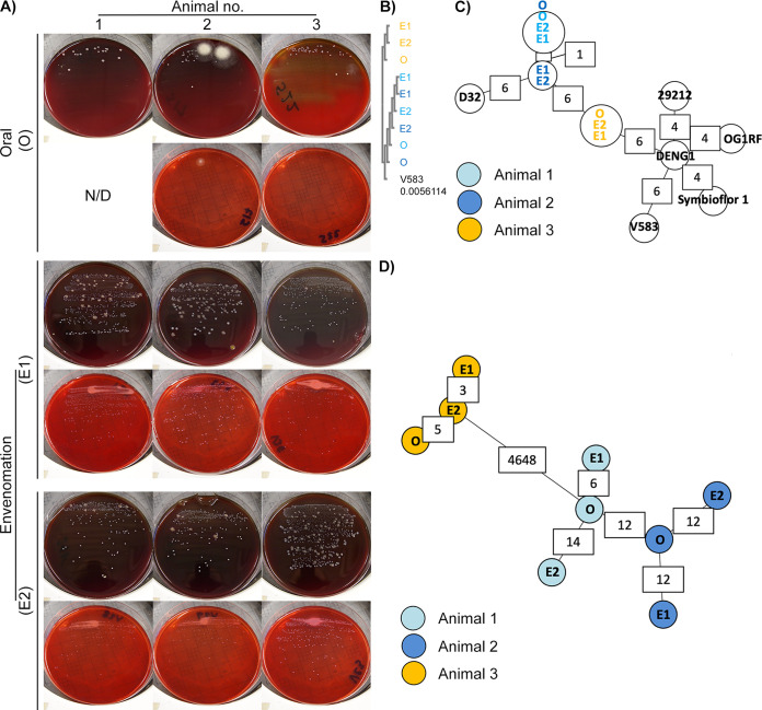 FIG 3