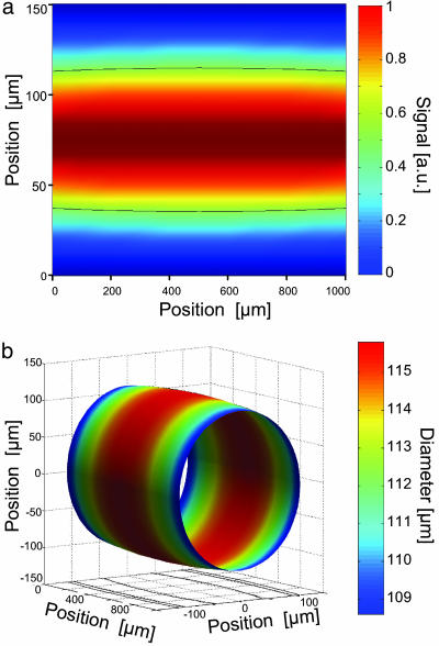 Fig. 3.