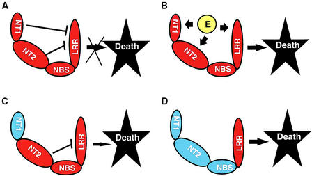 Figure 4.