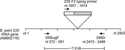 FIG. 1.