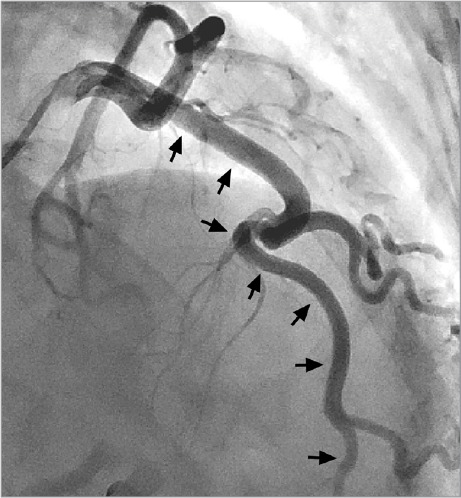 Fig. 3.