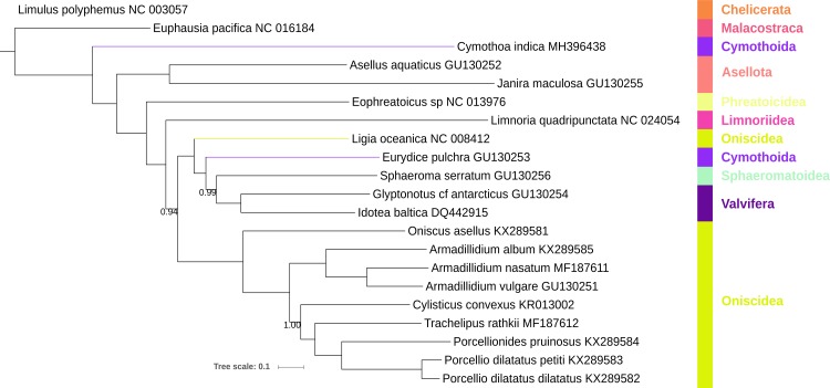 Fig 2