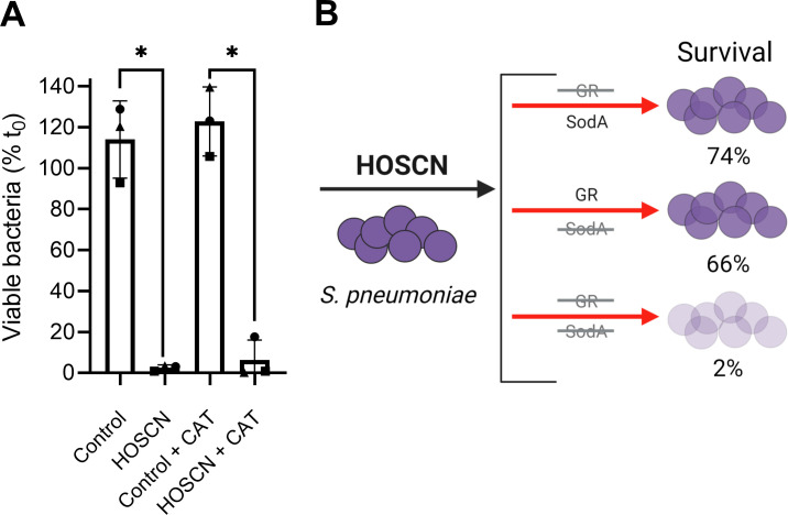 Fig 5