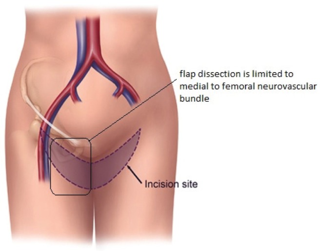 Figure 1)