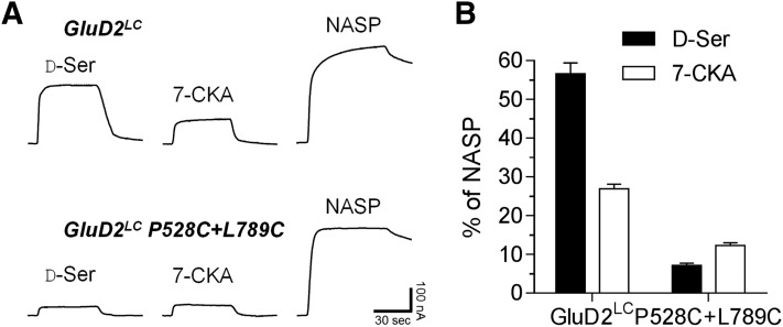 Fig. 5.