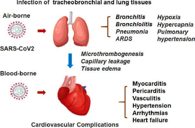 Image, graphical abstract