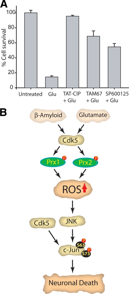 Figure 7.