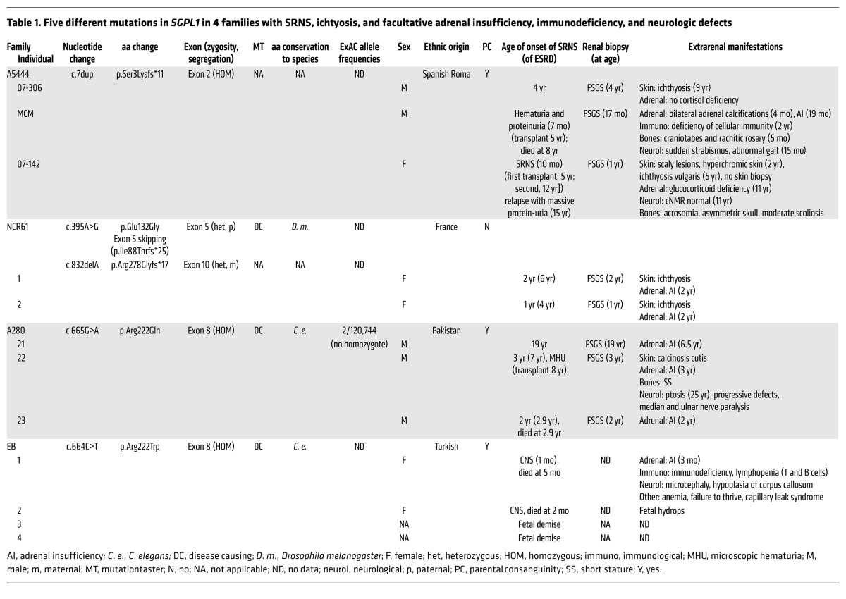 graphic file with name jci-127-89626-g006.jpg