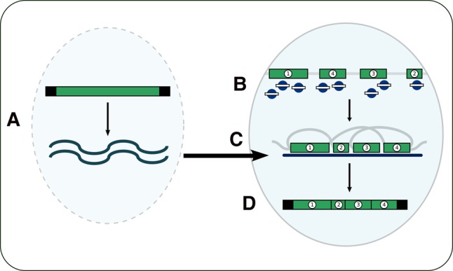 FIGURE 1.