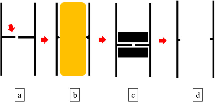 Fig. 5